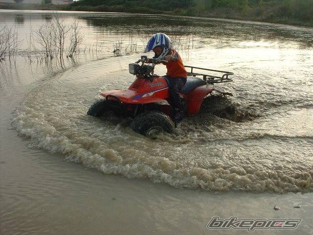 Photo 444058