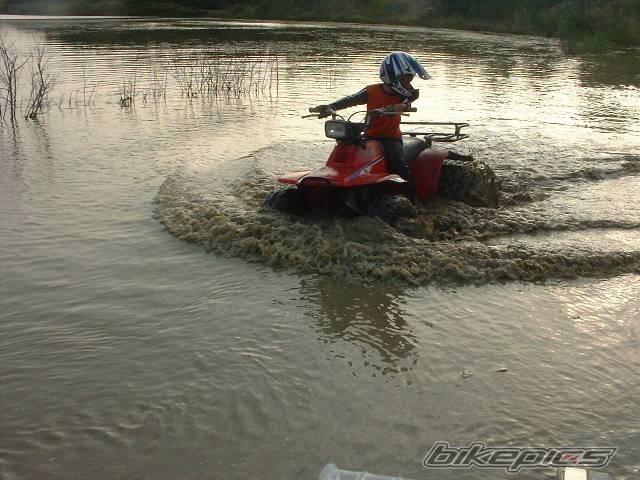 Bike Photo 444062