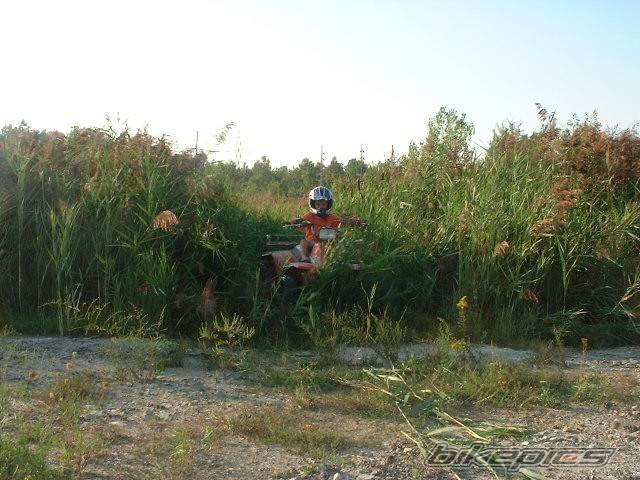 Photo 444064