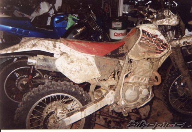 Bike Photo 444173