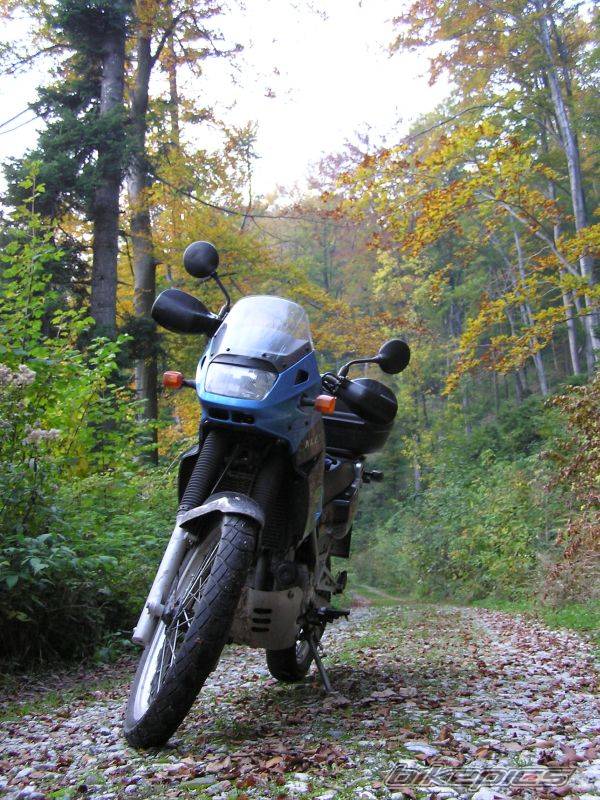 Bike Photo 444208