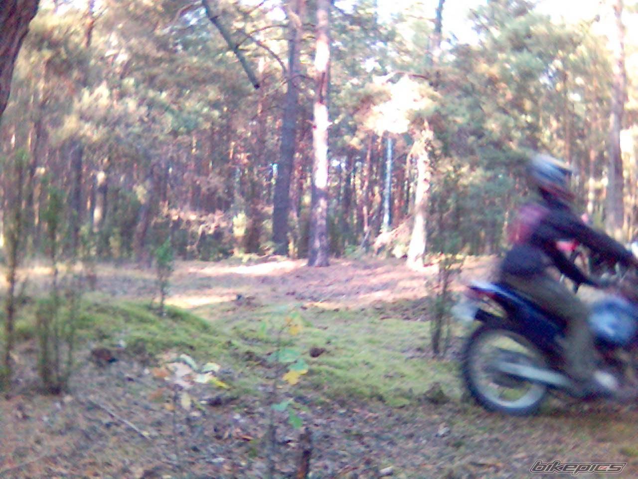 Photo 444217
