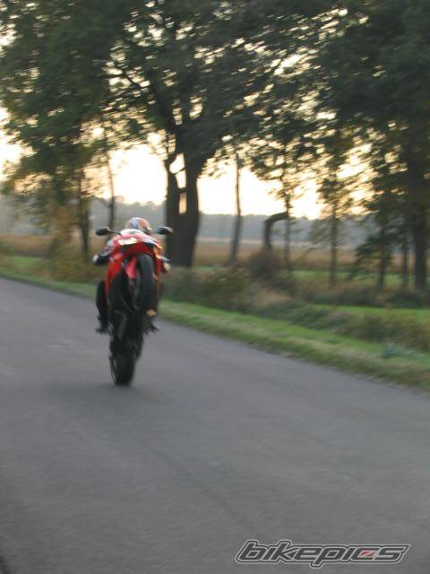 Photo 444250
