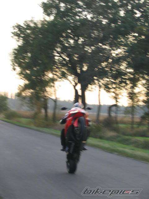 Photo 444255