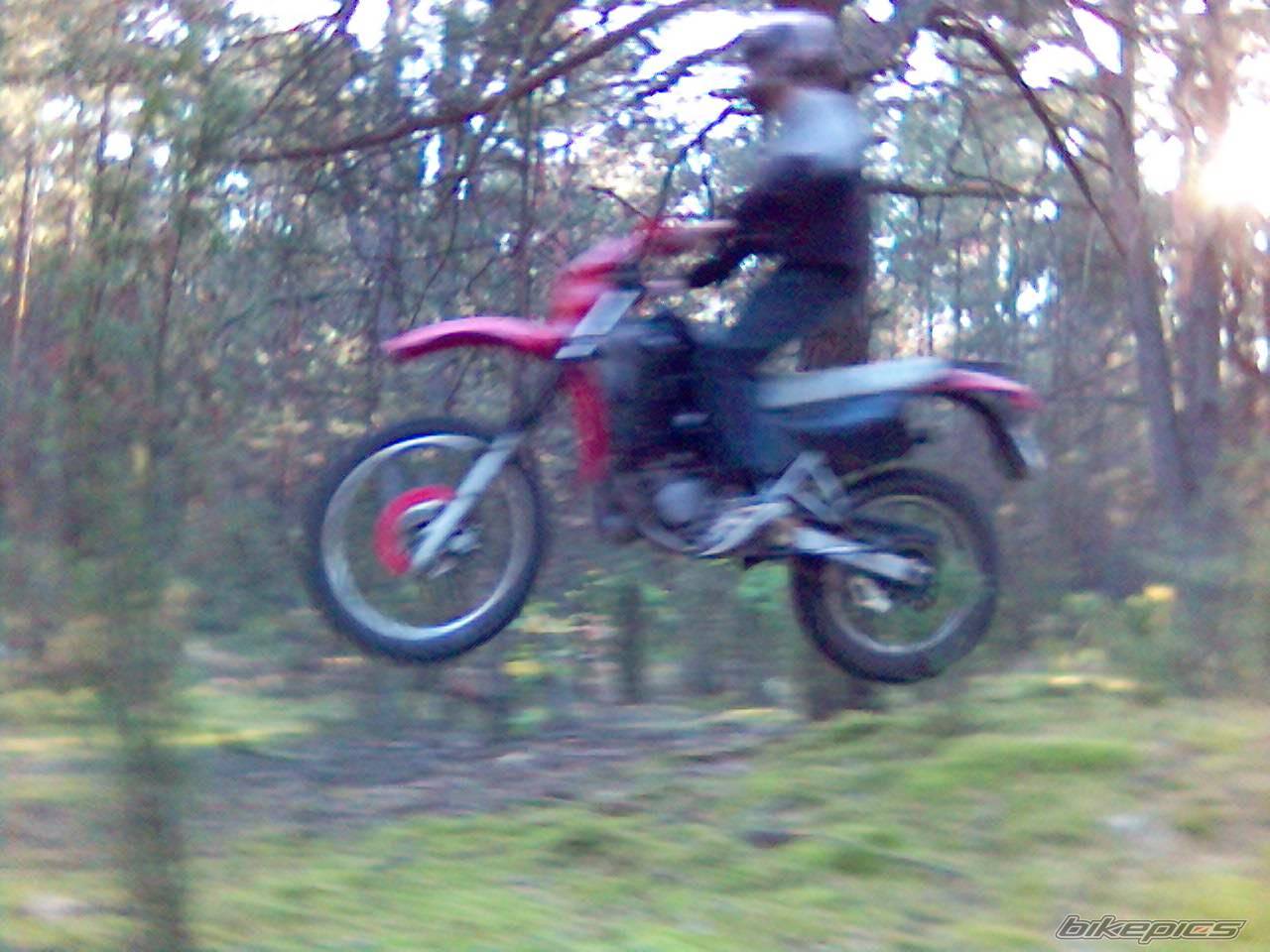 Bike Photo 444261