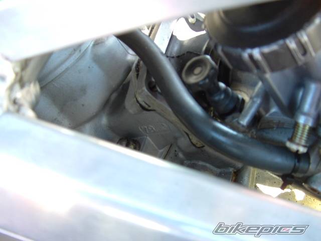 Photo 444433