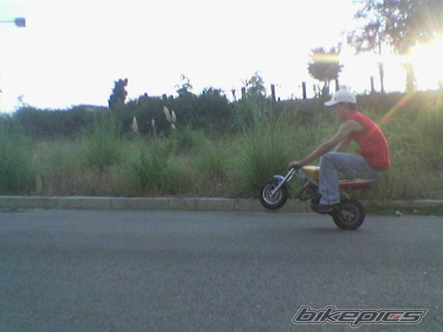 Photo 444533