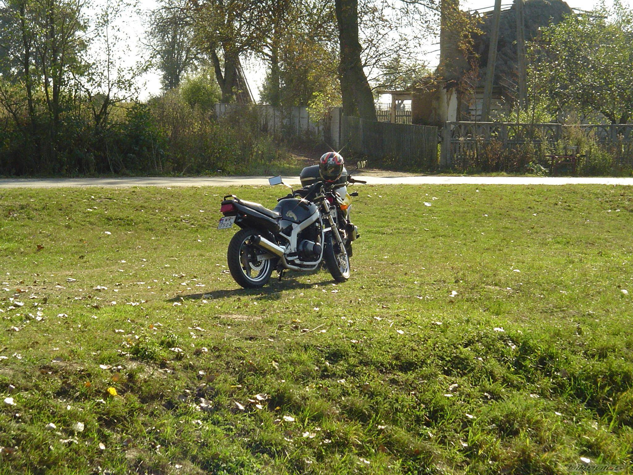 Photo 444585