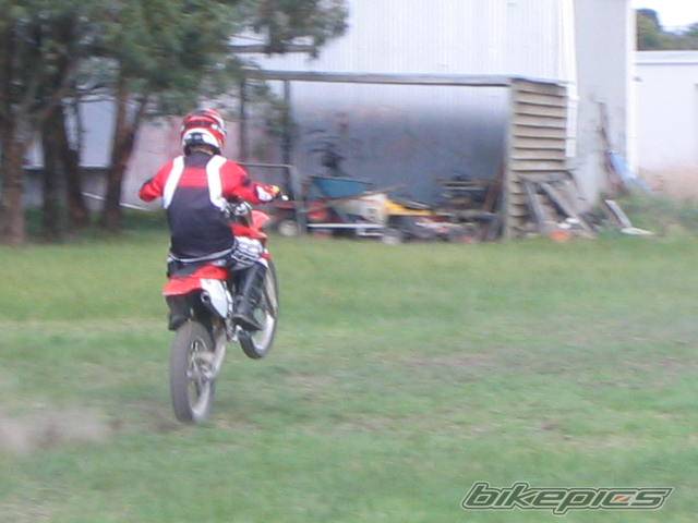 Bike Photo 444603