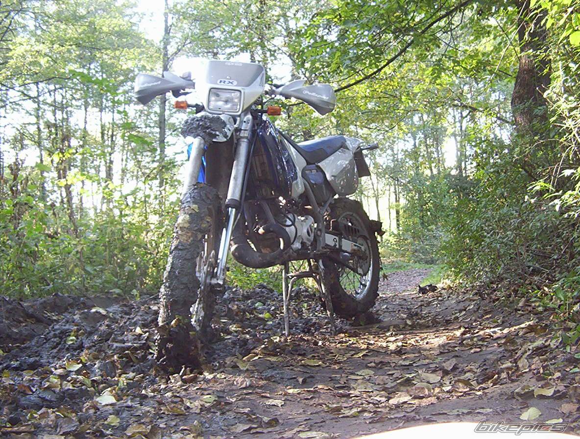 Bike Photo 444845
