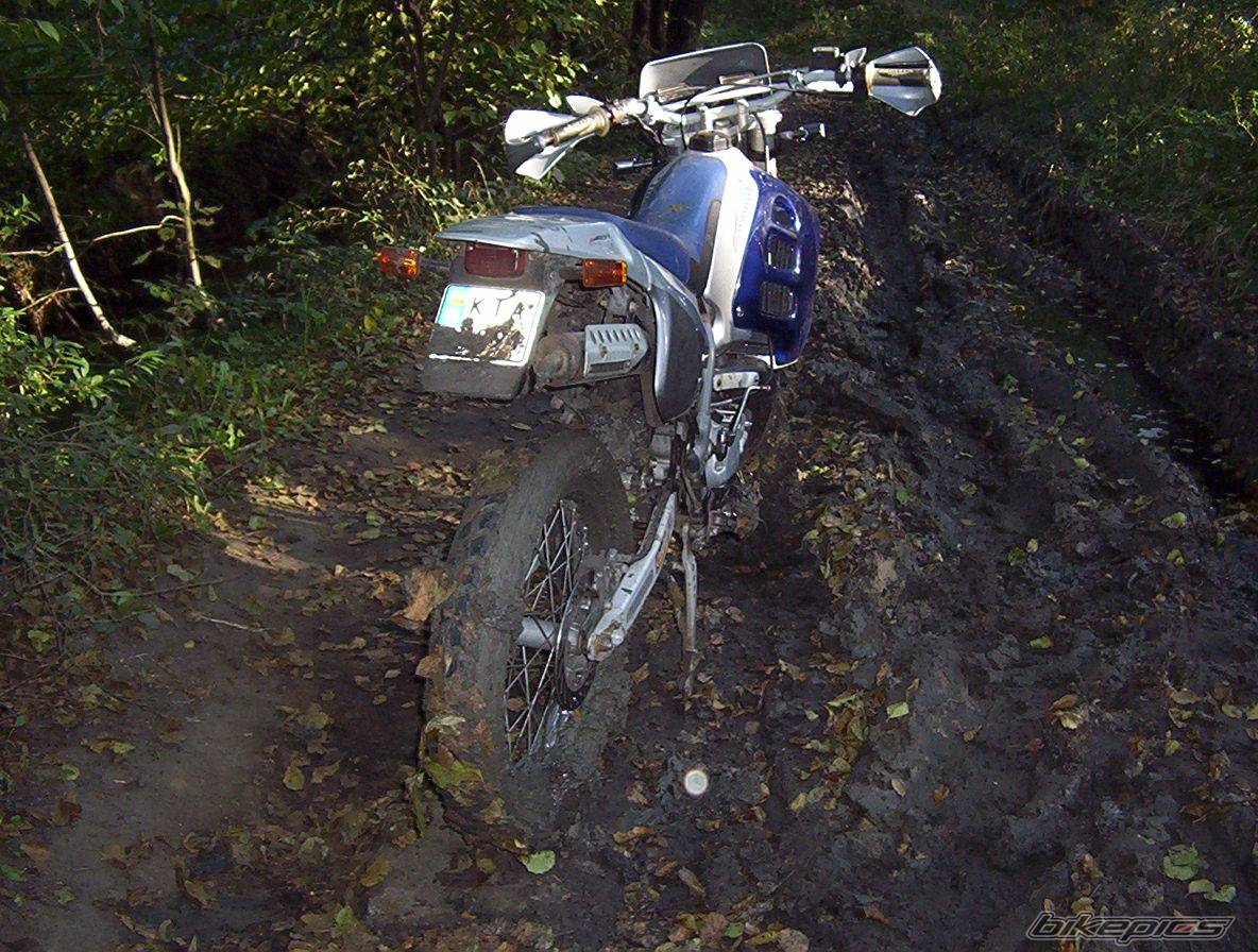 Bike Photo 444847