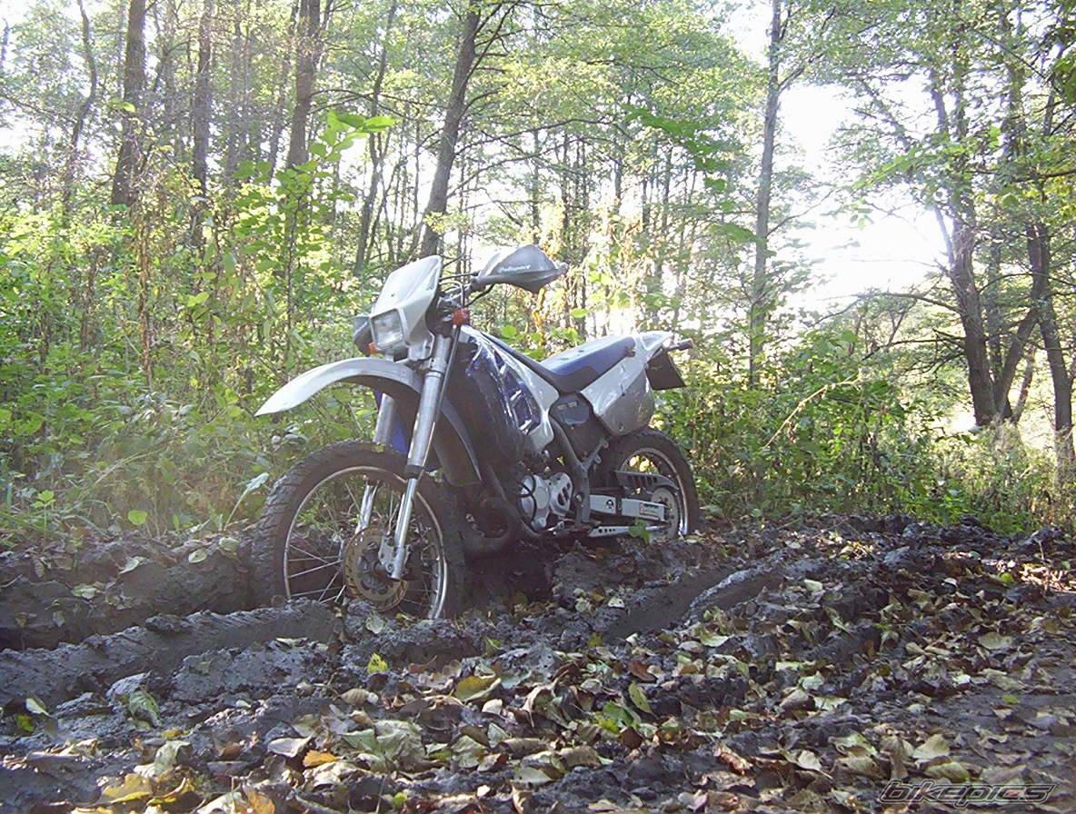 Photo 444858