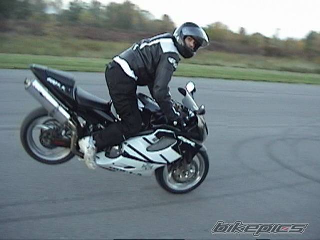 Photo 445036