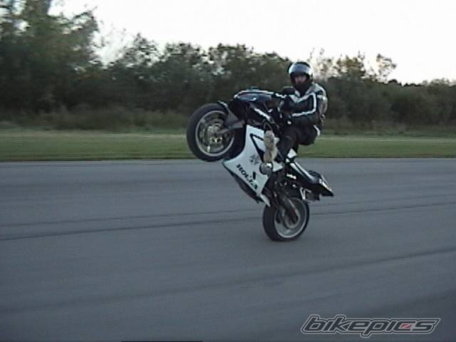 Photo 445037