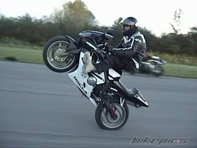 Photo 445039