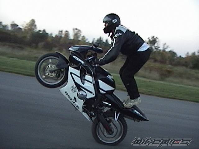 Photo 445040