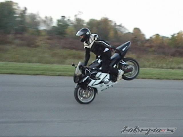 Photo 445044