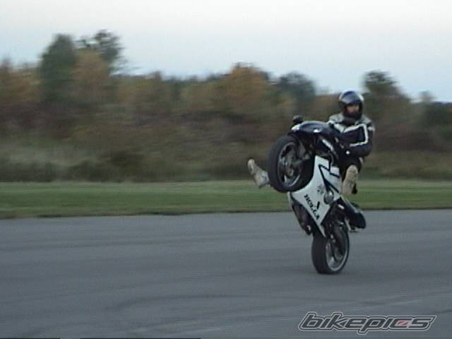 Photo 445046