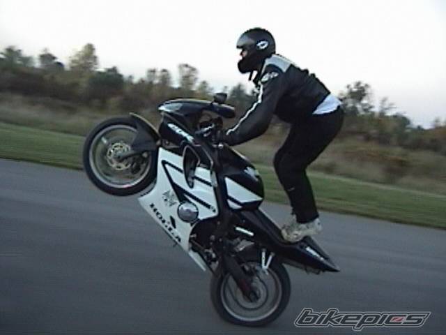 Photo 445048