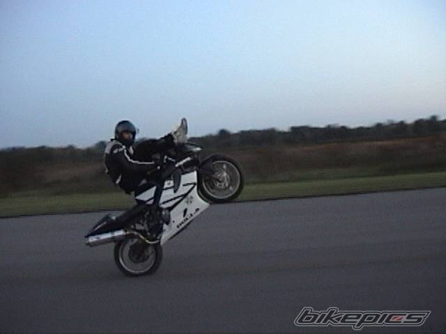 Photo 445050