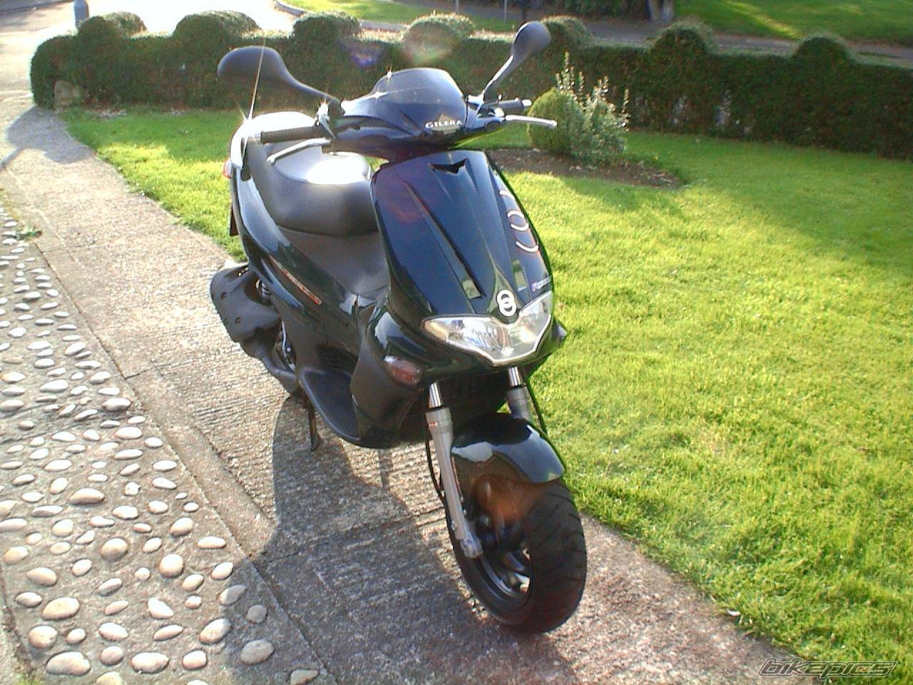 Photo 445173