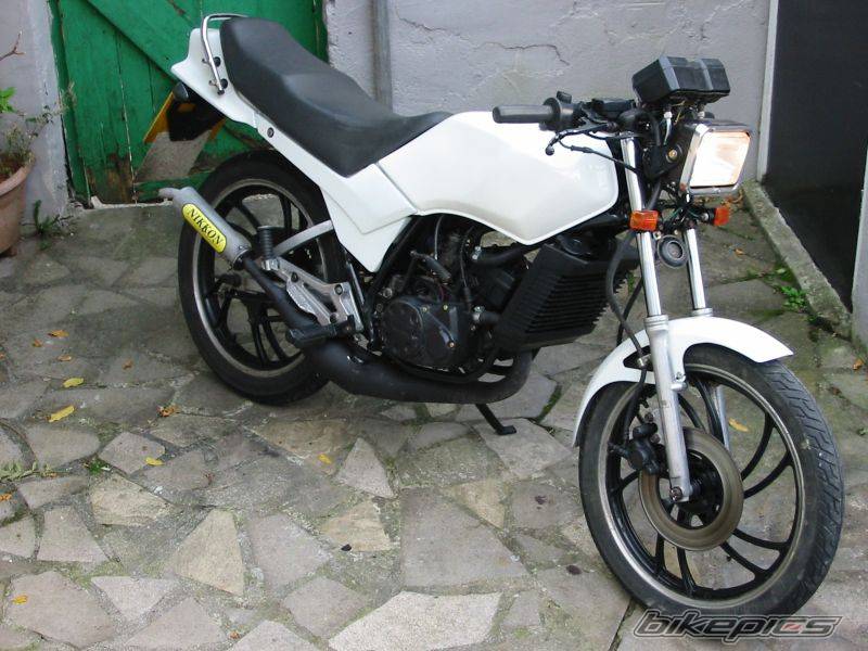 Bike Photo 445176
