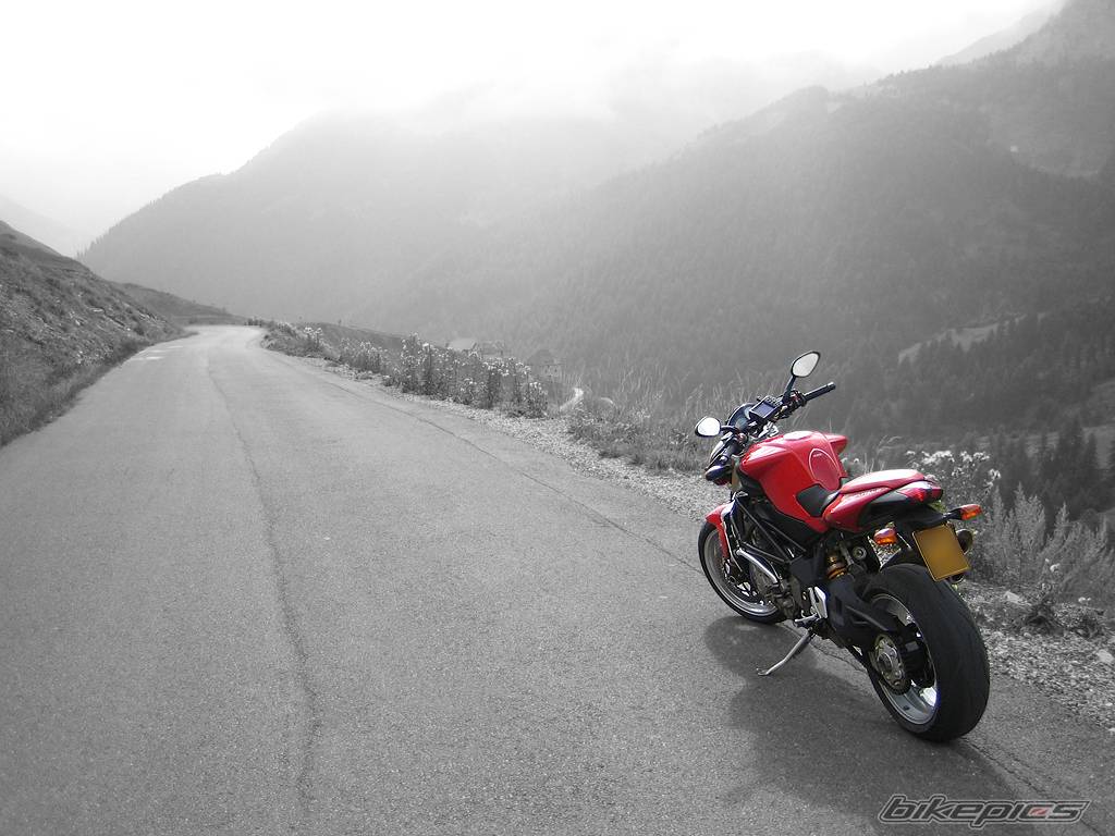 Photo 445271