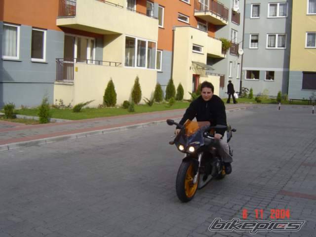 Photo 445284