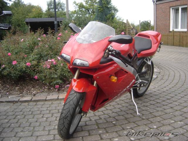 Bike Photo 445307
