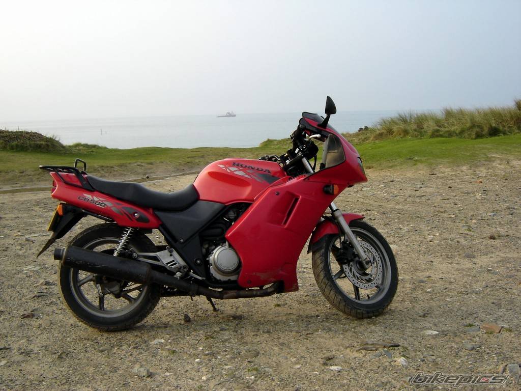 Photo 445382
