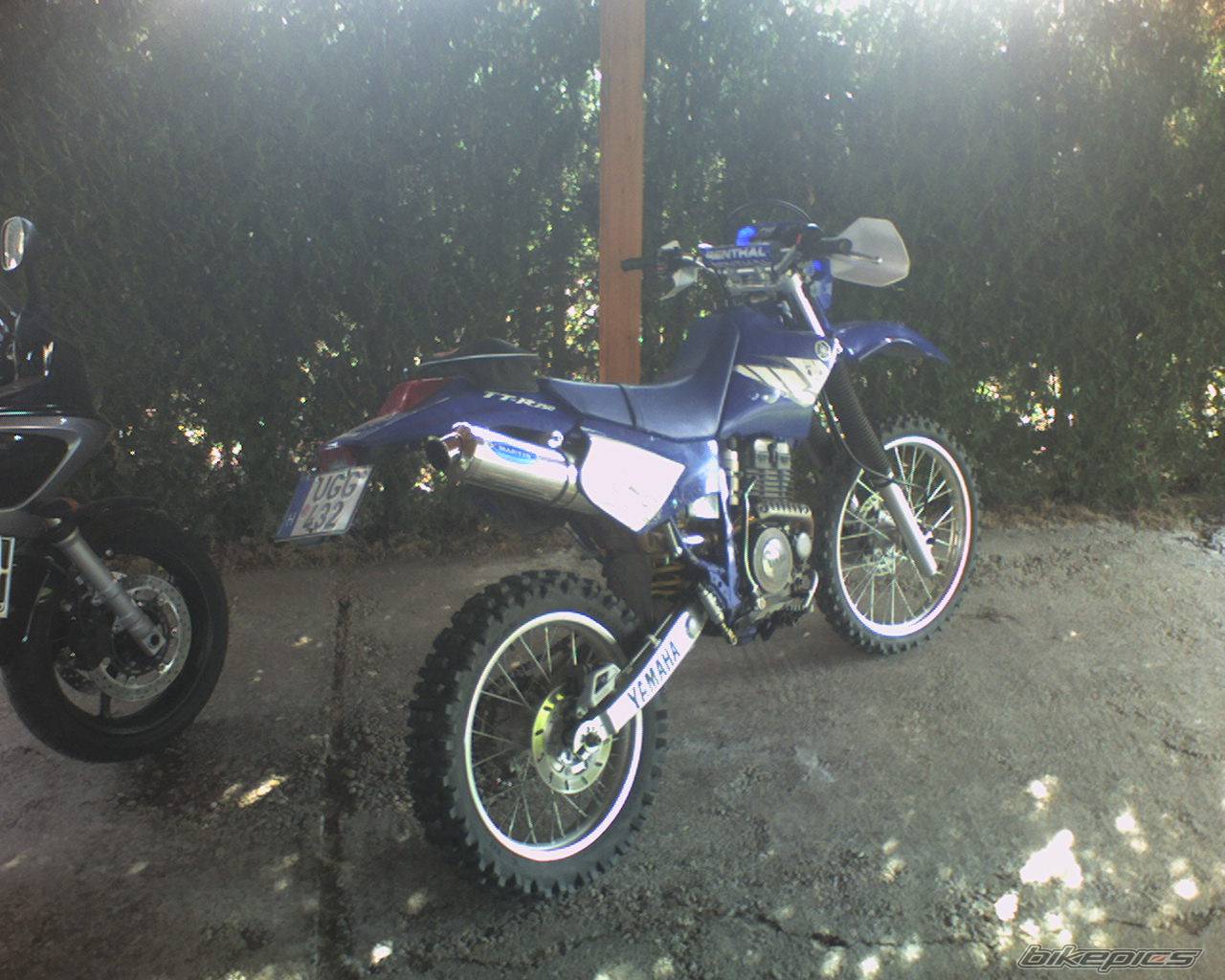 Bike Photo 445394