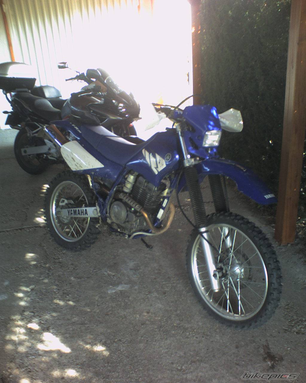 Bike Photo 445395