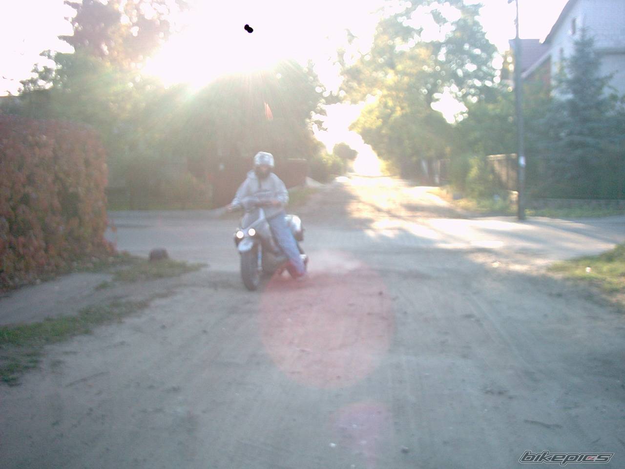 Photo 445434