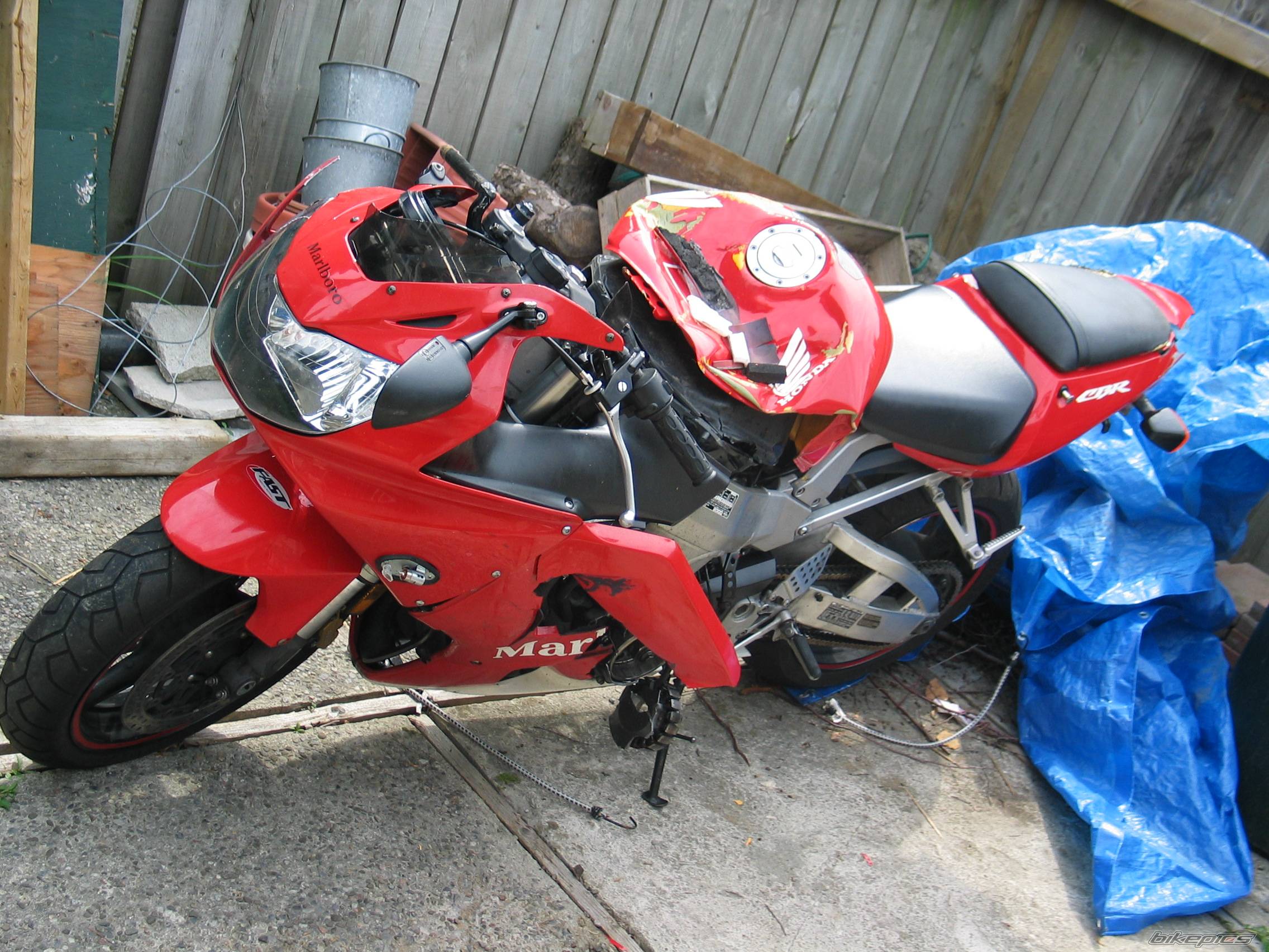 Bike Photo 445464