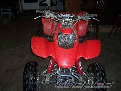 Photo 445470