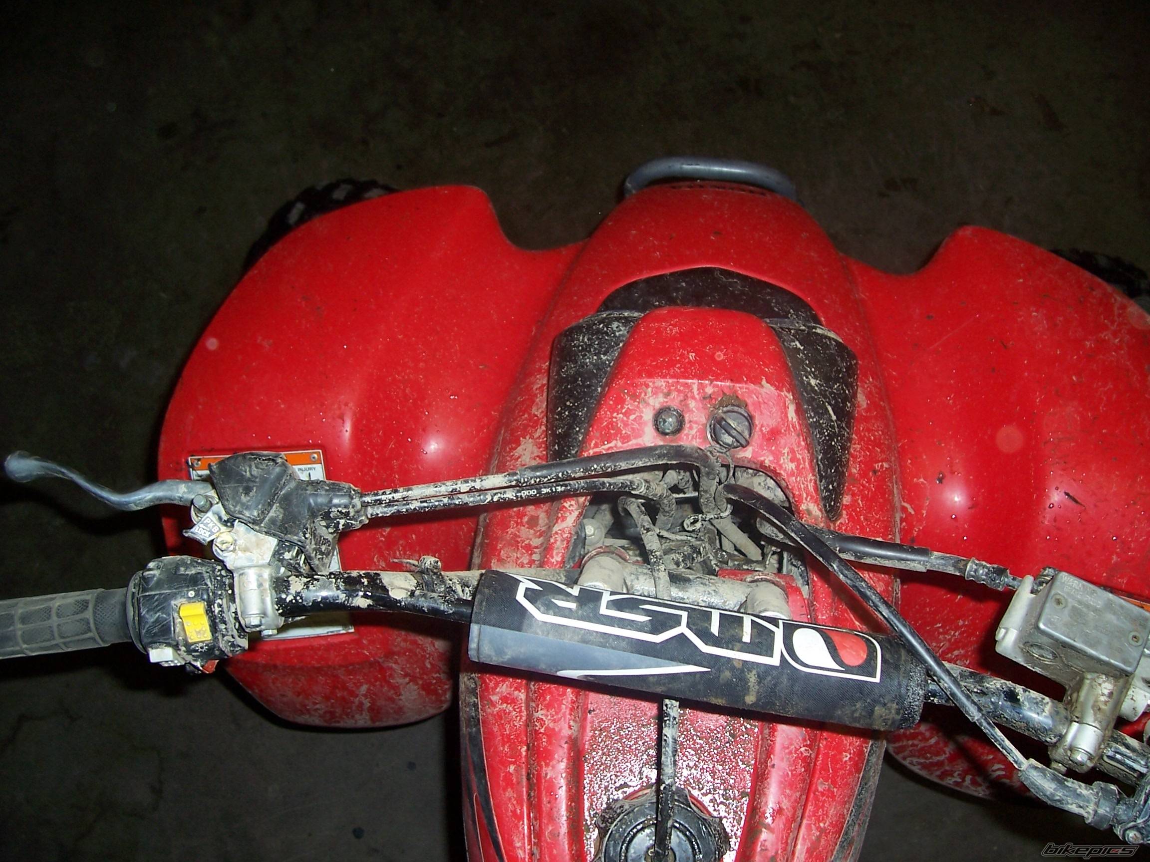 Photo 445475
