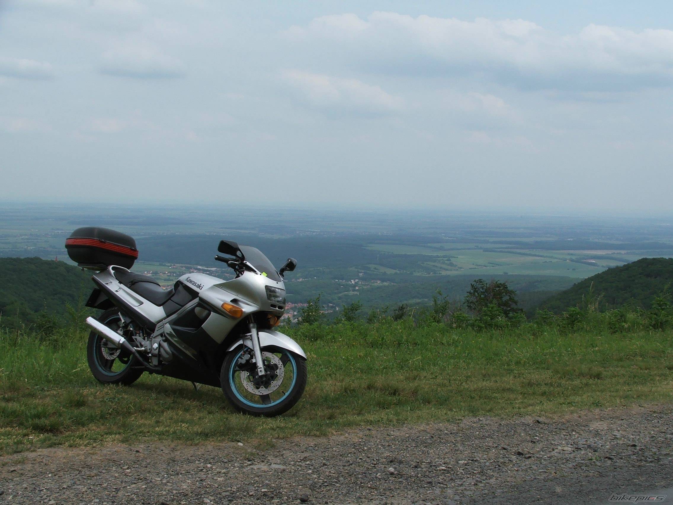 Photo 445480