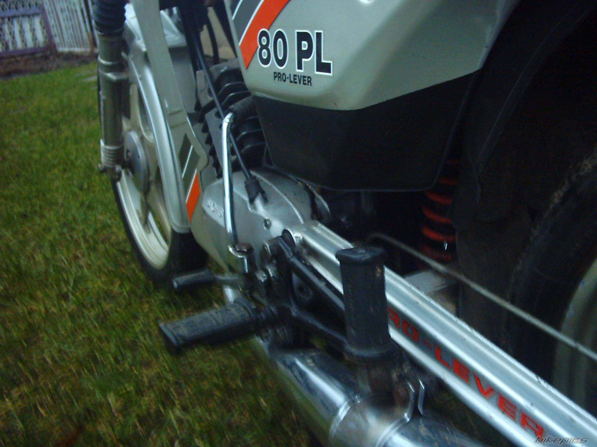 Photo 445541