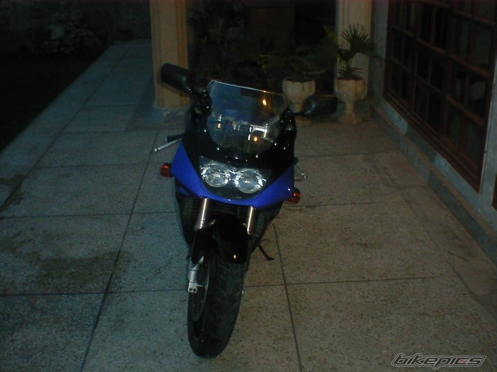 Photo 445554