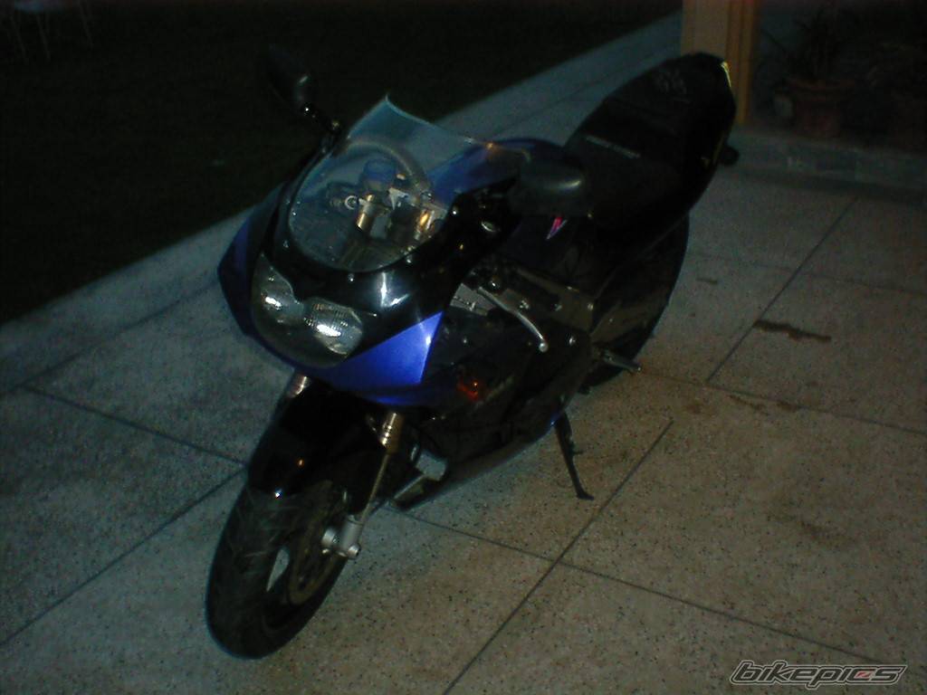 Photo 445559