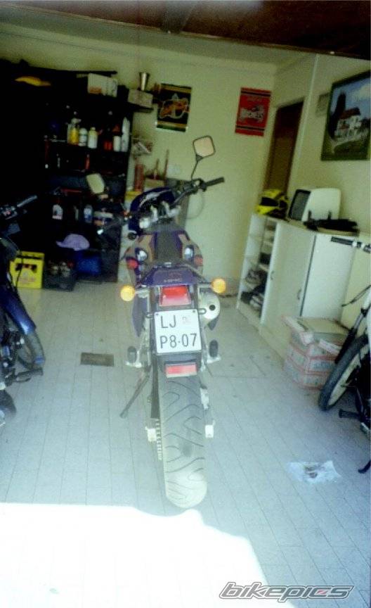 Photo 44556