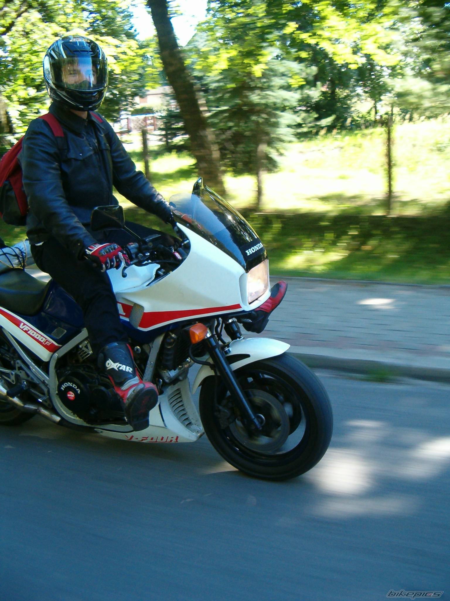 Photo 445566