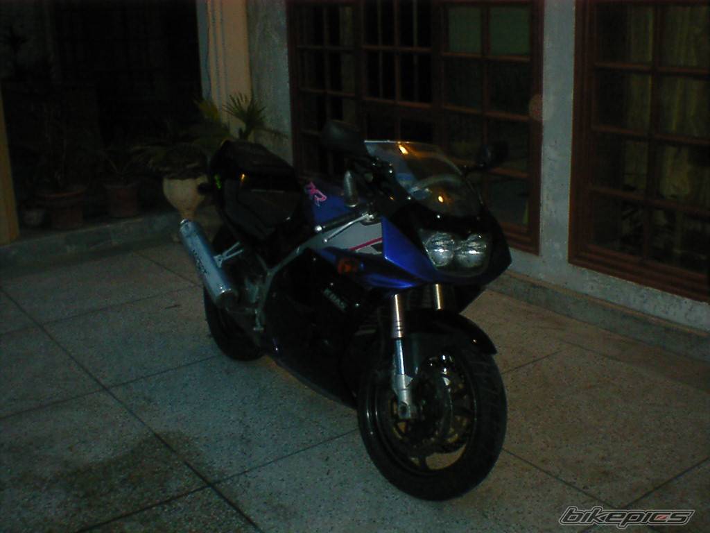 Photo 445579