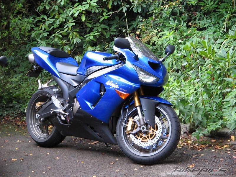 Bike Photo 445639