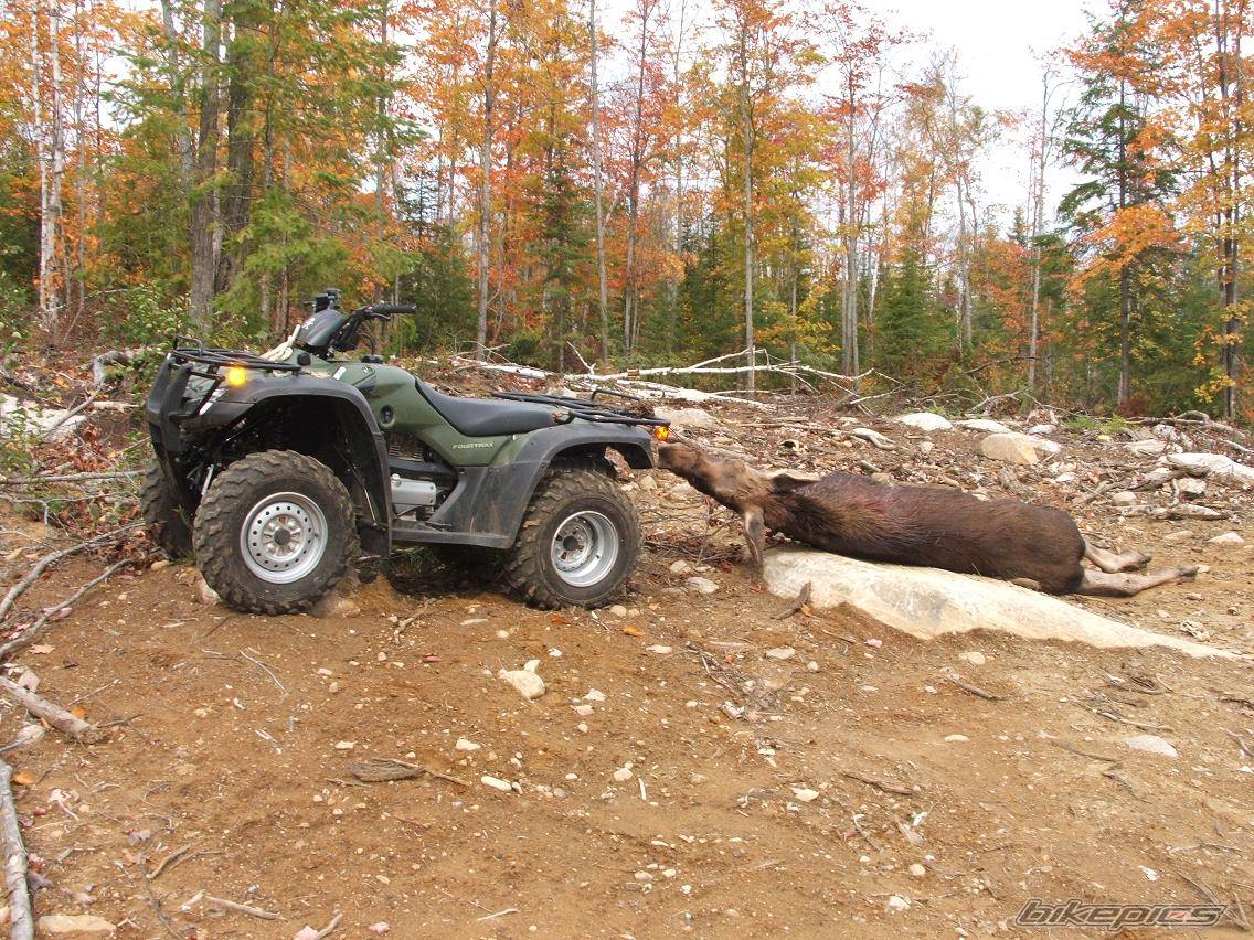 Photo 445649