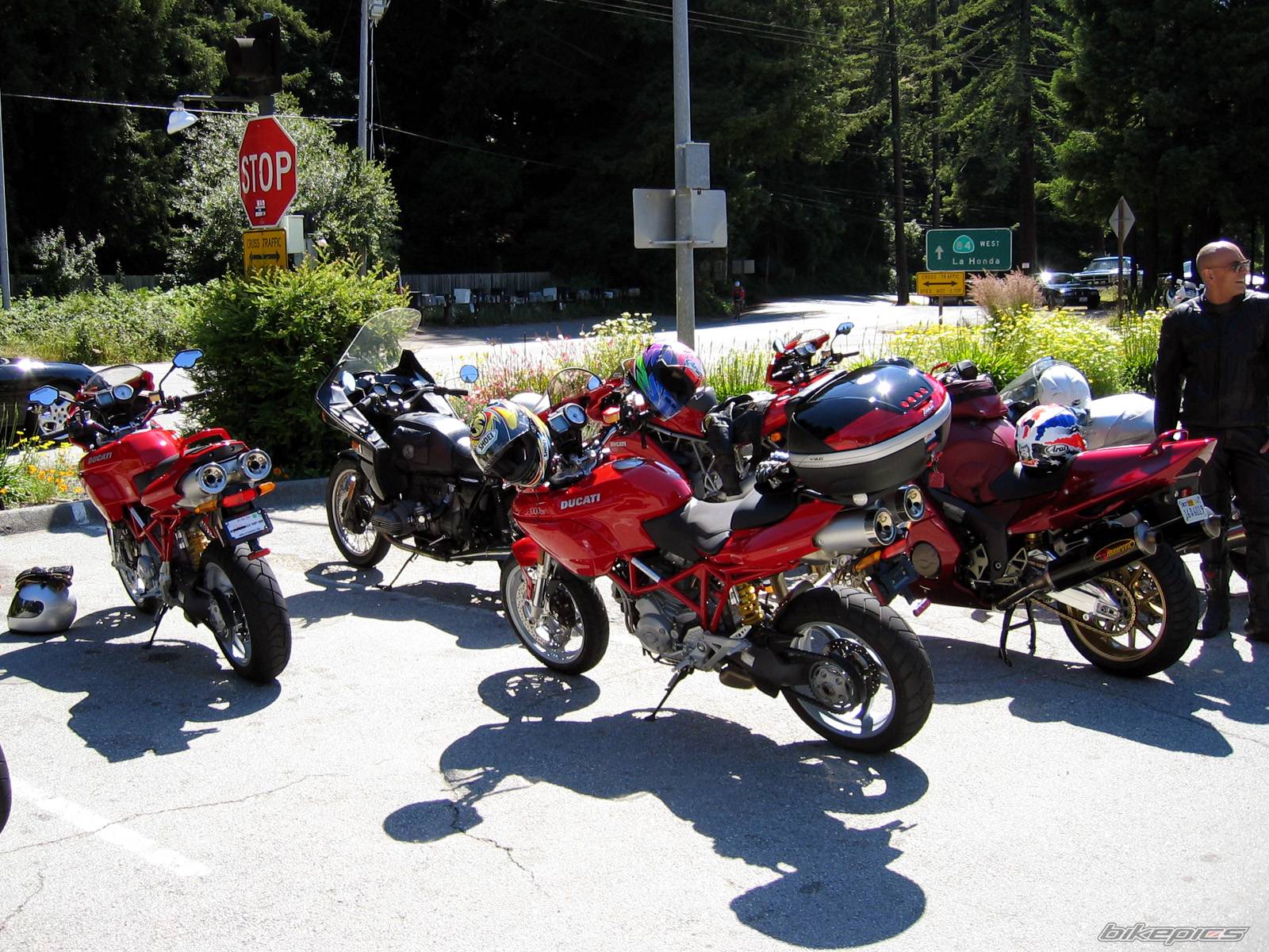 Photo 445671