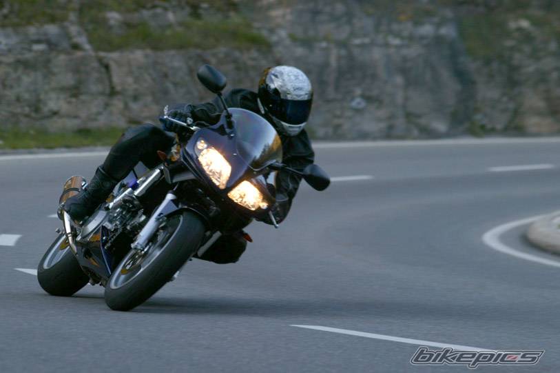 Photo 445693