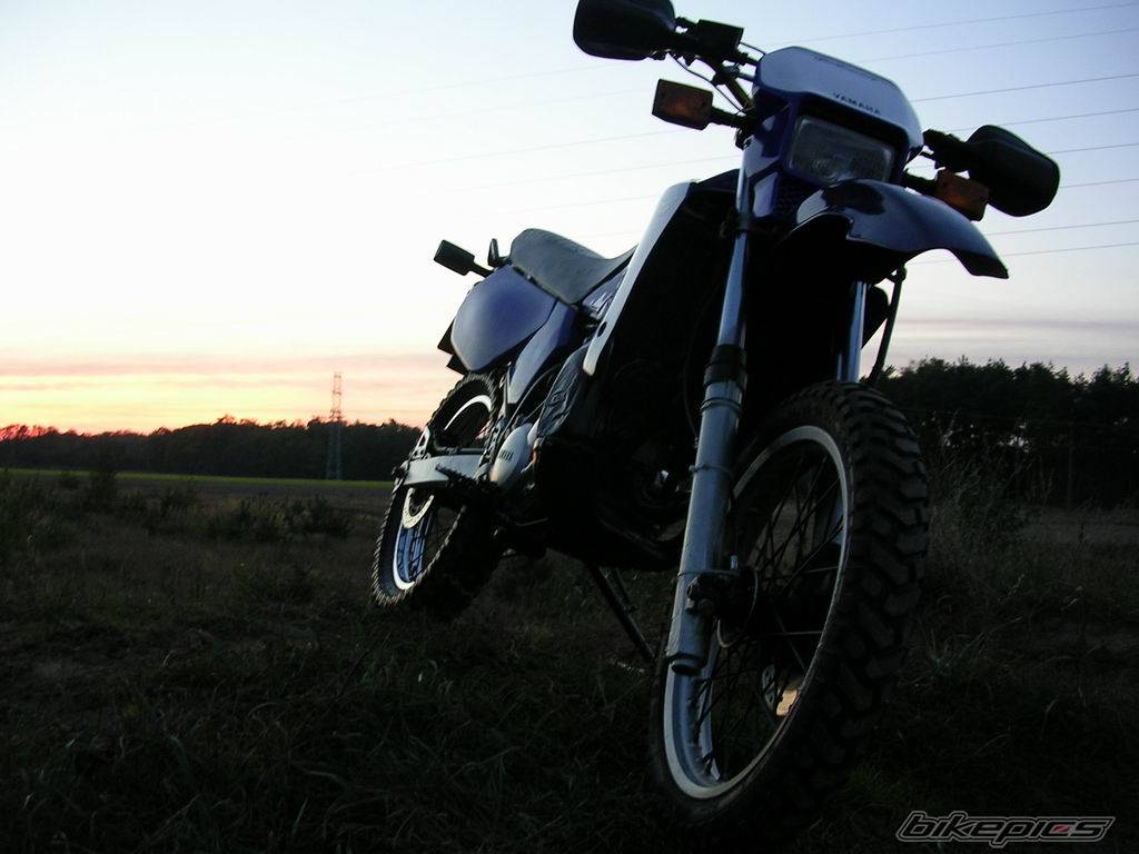 Bike Photo 445697