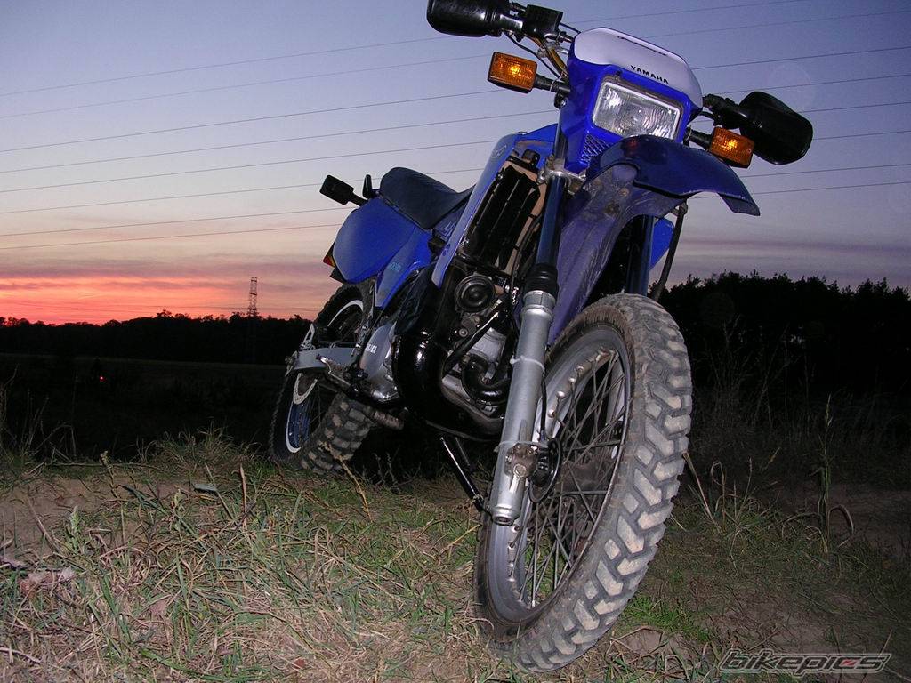 Bike Photo 445699