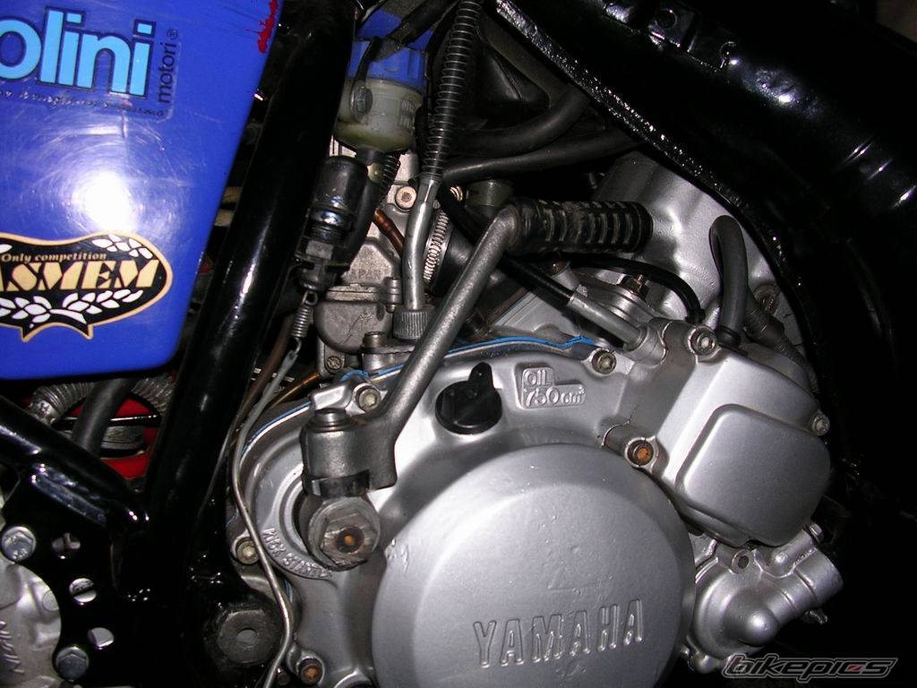 Bike Photo 445714